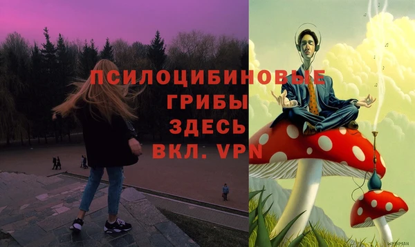 дмт Арсеньев