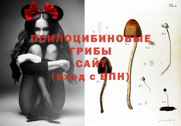 таблы Аркадак