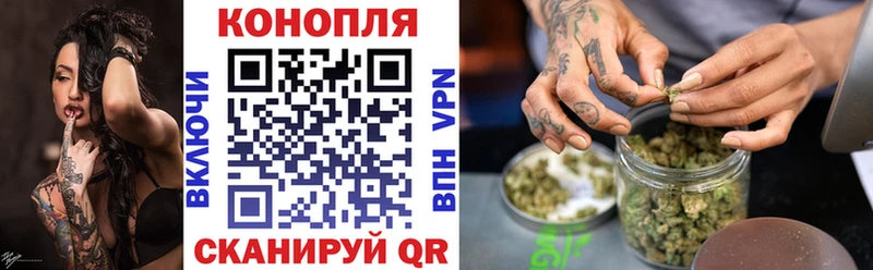 Шишки марихуана конопля  даркнет сайт  Сенгилей 